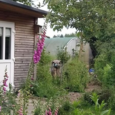 Fairschlafen - Gartenwohnung 比肯 外观 照片