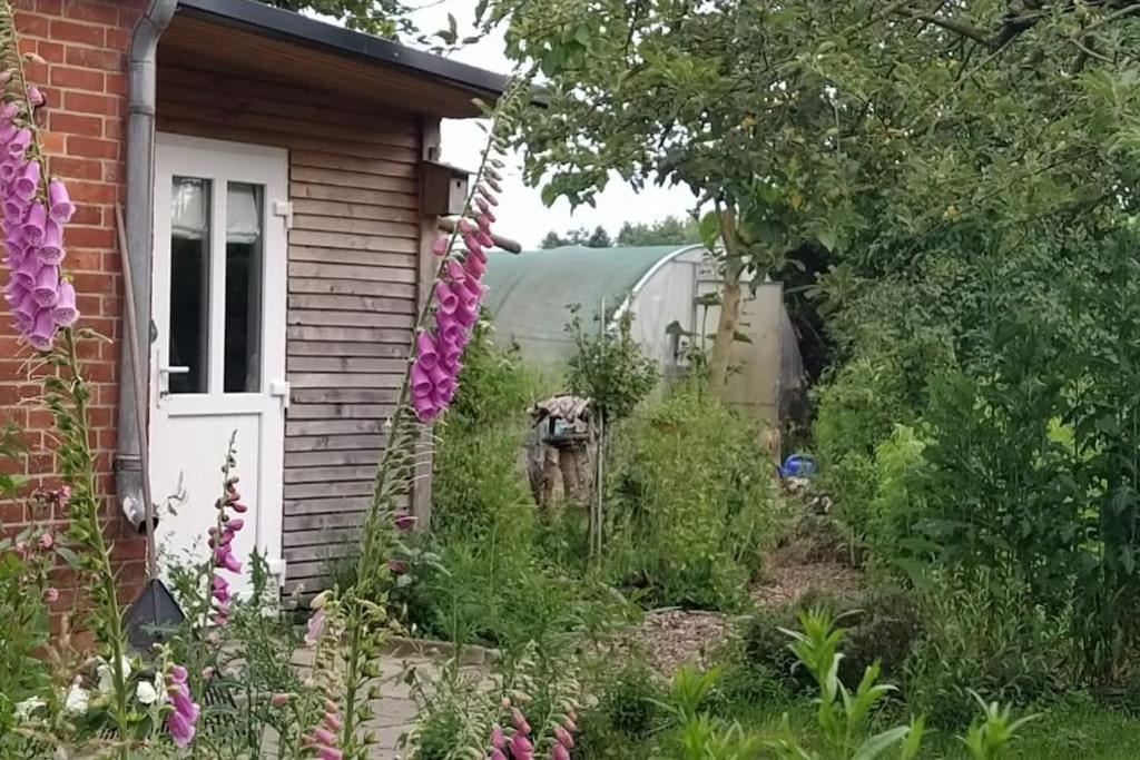 Fairschlafen - Gartenwohnung 比肯 外观 照片