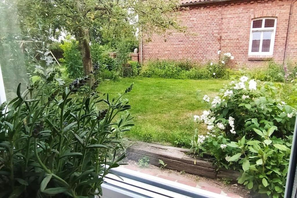 Fairschlafen - Gartenwohnung 比肯 外观 照片